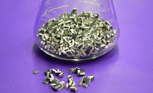 Diced Die and Chips